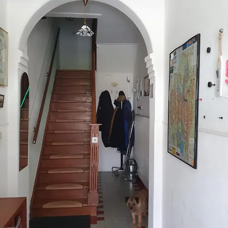 Sharon's Blue * Maastricht