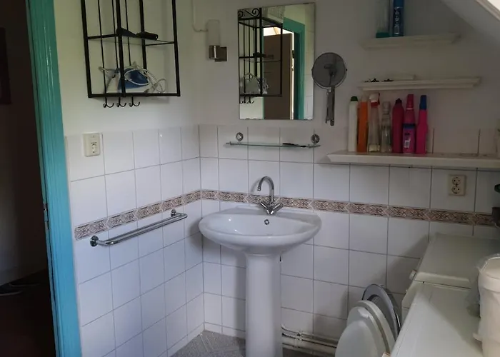 Sharon's Blue 마스트리흐트