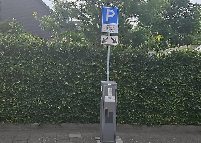 Sharon's Blue 마스트리흐트