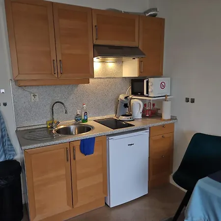 Daire Sharon's Blue Maastricht